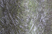 Combwich fibreglass roof work